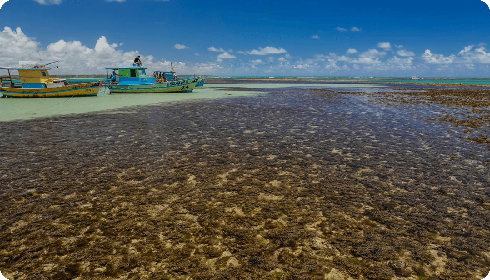 Turismo de experiência: desbrave os encantos do Rio Paraíba