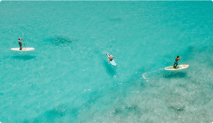 Imagem indisponível